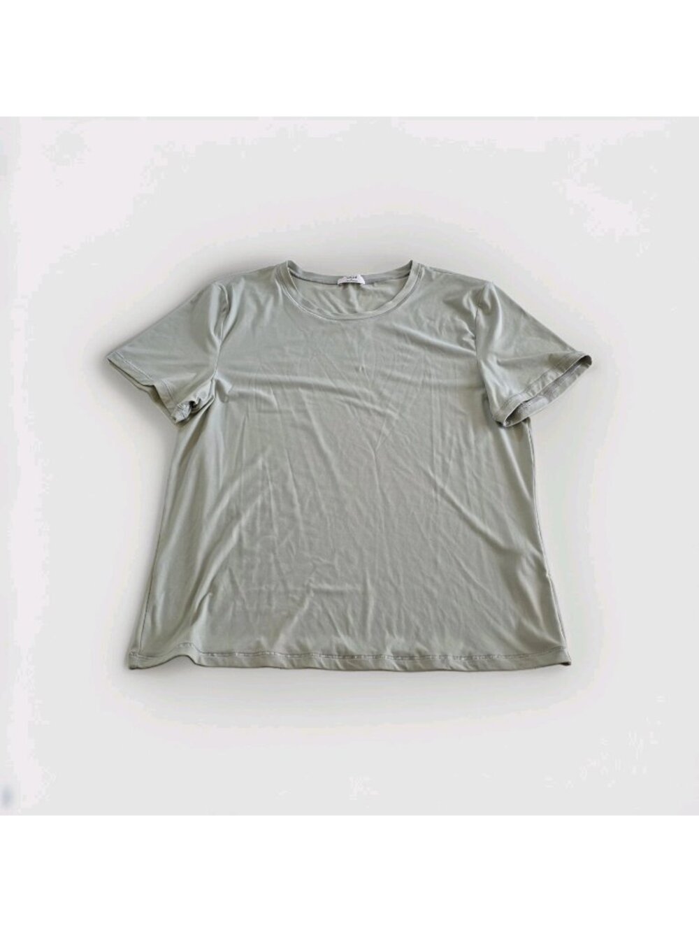 Aritzia Wilfred T Shirt XL Sage Green 112139 Tight Fit Minimalist Clean Beauty